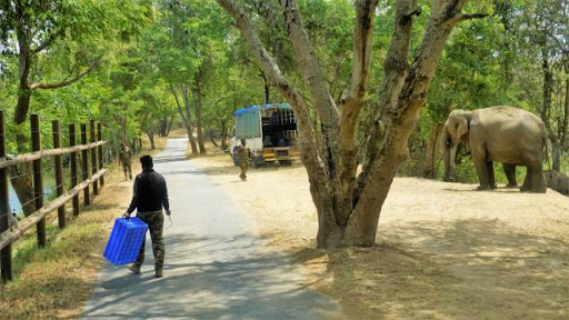 Bannerghatta National Park Landscape